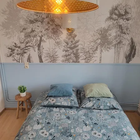 公寓 Lumineuse - Centre & Vue Chateau De - Salle De Bain Privee Et Cuisine Partagee 卢德