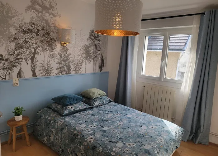 Appartement Lumineuse - Centre Et Chateau - Cuisine Partagee Et Salle De Bain Privee Lourdes