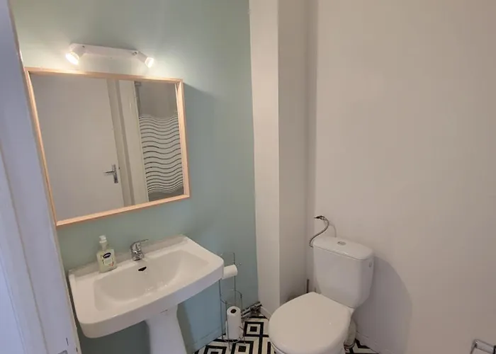 Lumineuse - Centre Et Chateau - Cuisine Partagee Et Salle De Bain Privee * Лурд