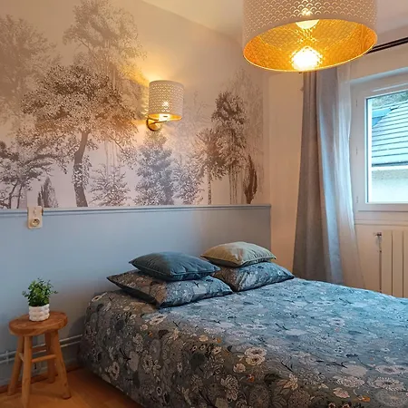 Lumineuse - Centre Et Chateau - Cuisine Partagee Et Salle De Bain Privee Lurdy